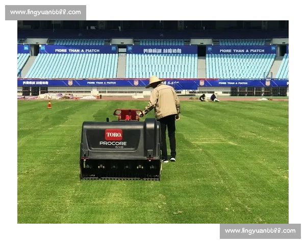 足球官网全新升级 为球迷提供更便捷的赛事资讯与互动体验